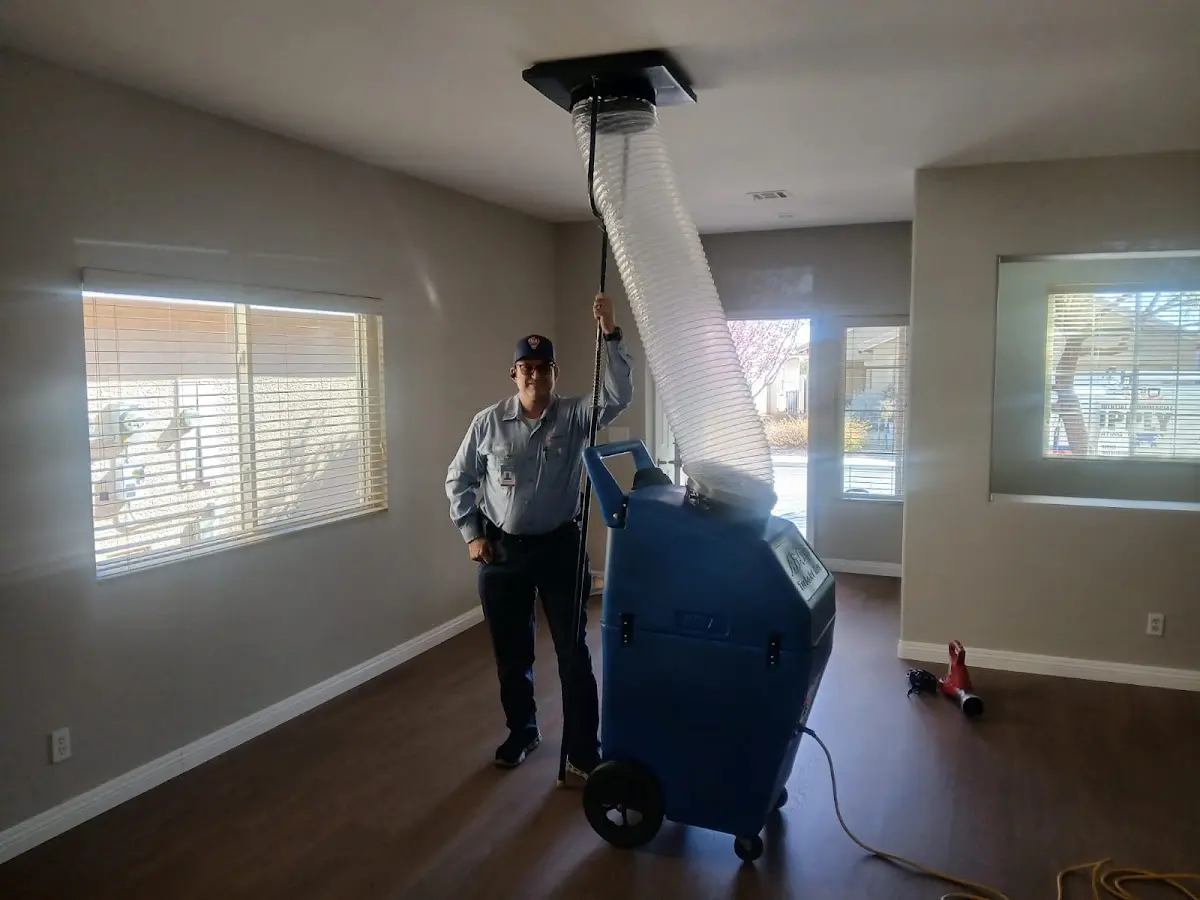 Professional Dryer Vent Cleaning work inside a Griffith home